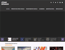 Tablet Screenshot of cedricdeniaud.com